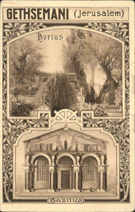 Jerusalem Yerushalayim Gethsemani Hortus