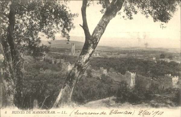 Mansourah