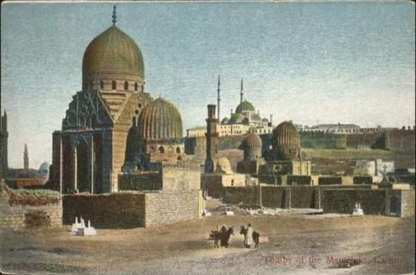Cairo Egypt Esel