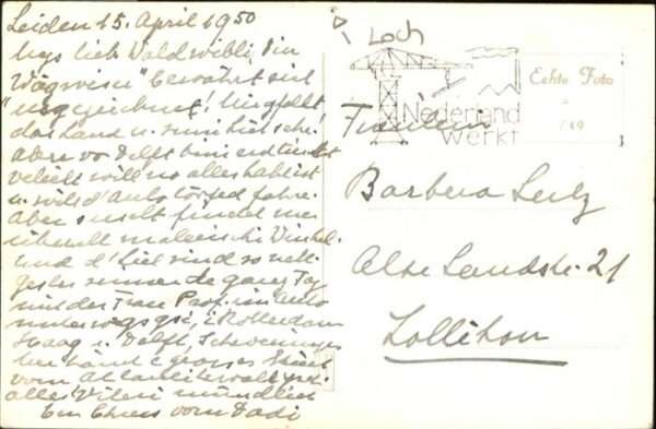 Leiden Apothekersdljk – Bild 2