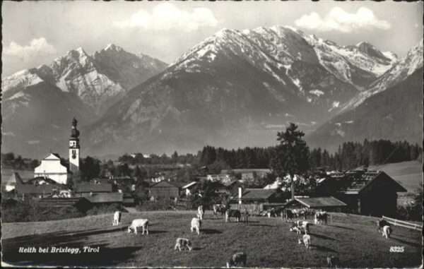 Reith Brixlegg Kühe