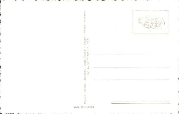 Trafoi Suedtirol Hotel Posta – Bild 2