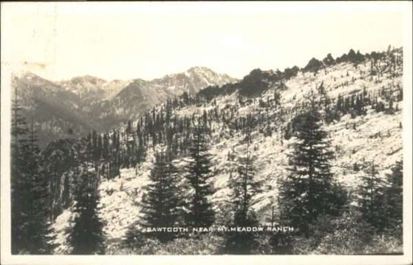 Sawtooth Mt Meadow Ranch