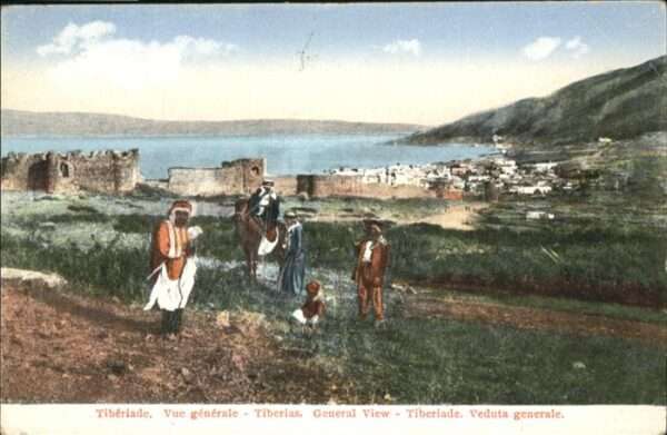 Tiberias Pferd