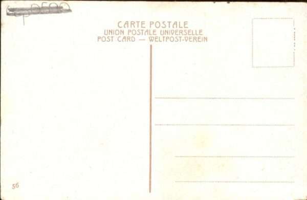 Tiberias Pferd – Bild 2