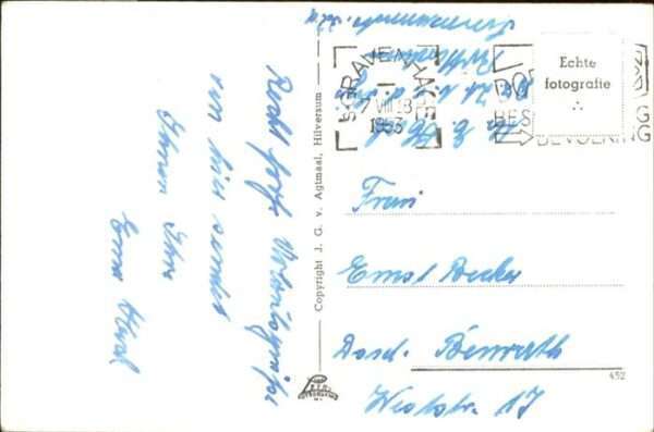 Scheveningen Pferd – Bild 2