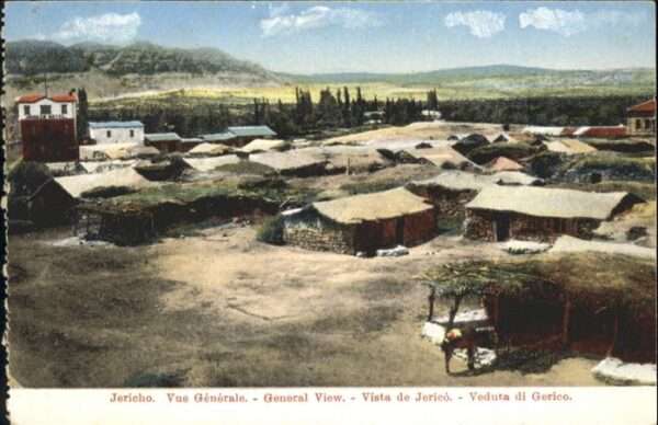 Jericho Israel Pferd
