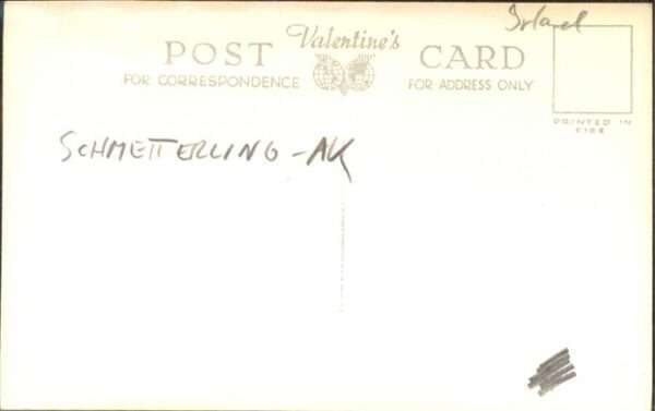 Killarney Kerry Schmetterling – Bild 2
