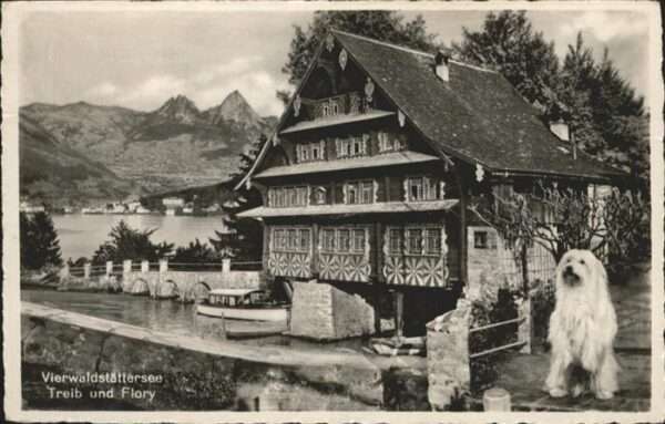 Vierwaldstaettersee SZ Treib Flory Hund