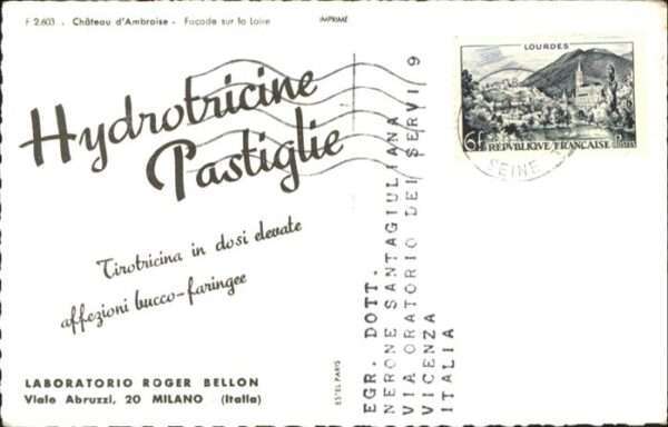 Lourdes Hautes Pyrenees Chateau d`Ambroise – Bild 2