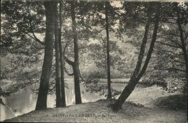 Saint-Leu-la-Foret Foret