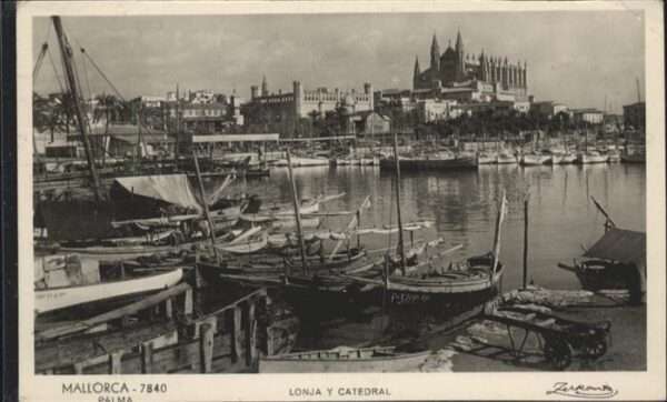 Mallorca Palma
Lonja y Catedral