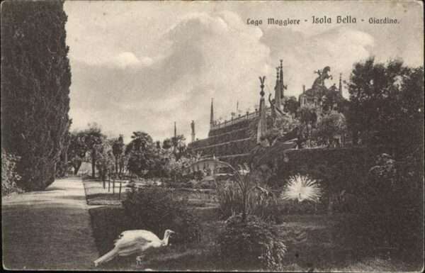 Isola Bella Lago Maggiore Vogel