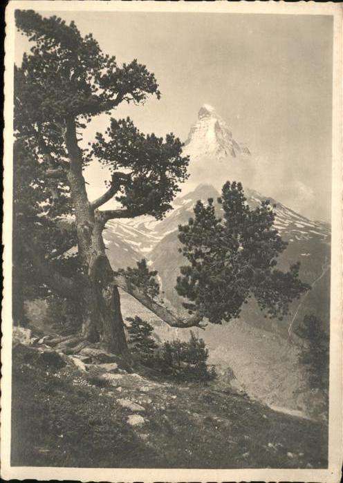 Zermatt VS