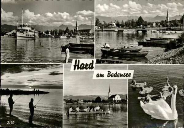 Hard Vorarlberg Schiff Schwan