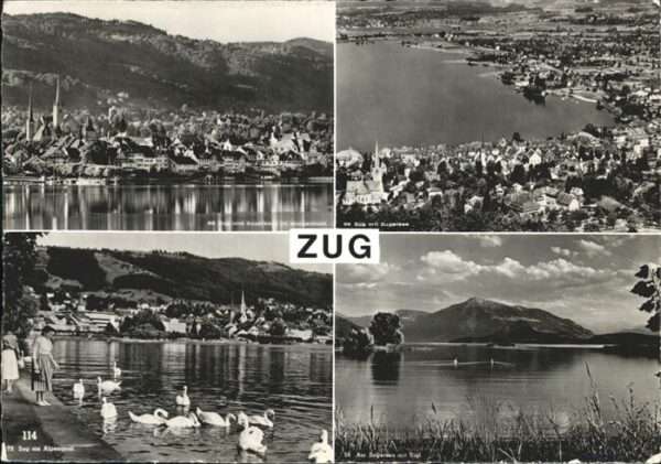 Zug ZG Zugersee Schwan