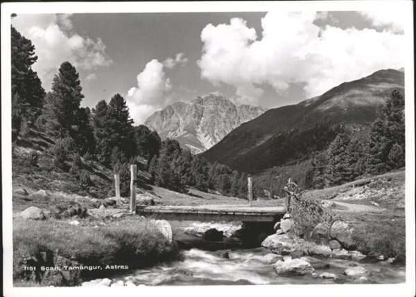 Tamangur Astras