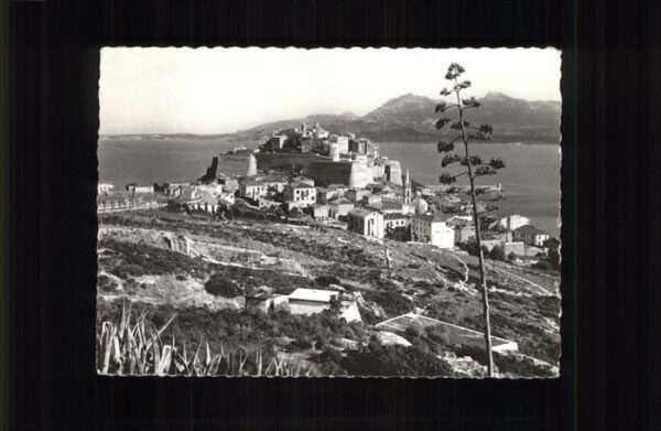 Calvi