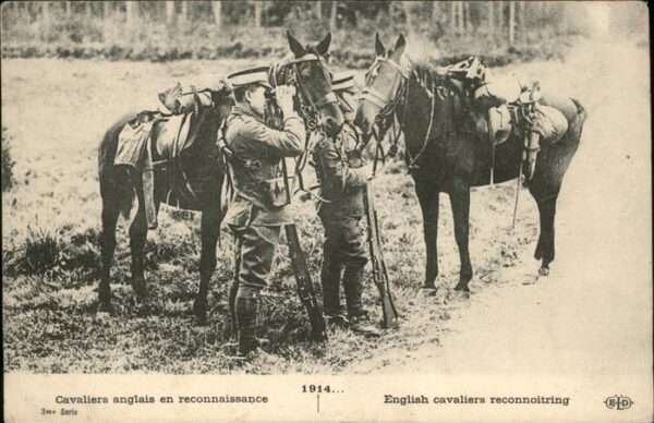 Pferde English cavaliers reconnoitring Ferngla