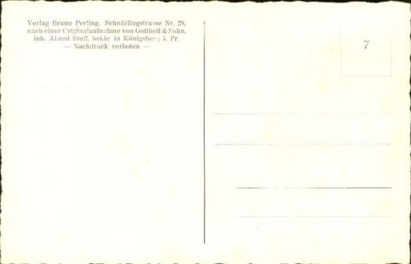 Tiere Elch Kampf Brunft – Bild 2