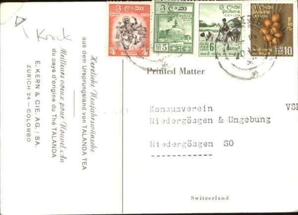 Dickhaeuter Elefanten – Bild 2