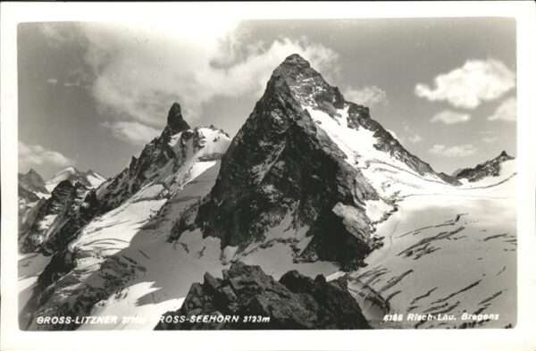 Gross Litzner Gross-Seehorn