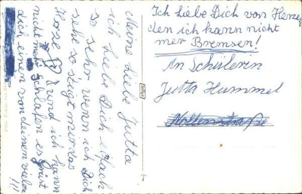 Spiez BE Hotel Belvedere Seitenraddampfer Beatus – Bild 2