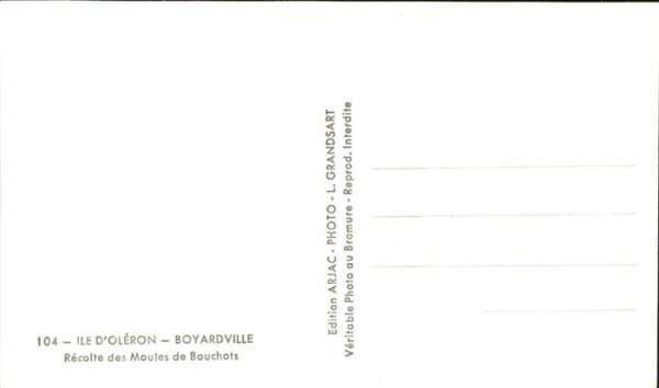 Boyardville Recolte des Moules de Bouchots – Bild 2