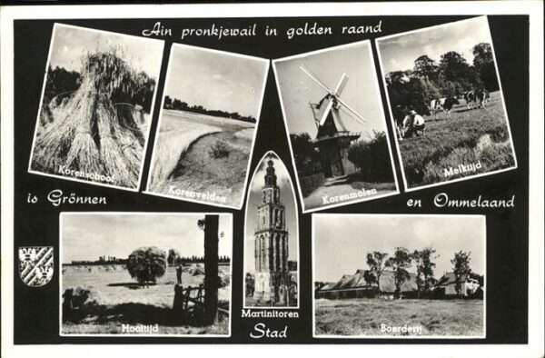 Ommelaand Kühe Korenmolen Martintoren