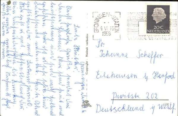 Ommelaand Kühe Korenmolen Martintoren – Bild 2