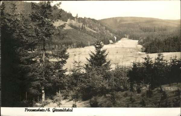 Frauenstein Grimmlitztal