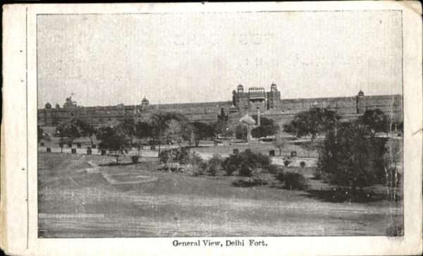 Delhi Delhi