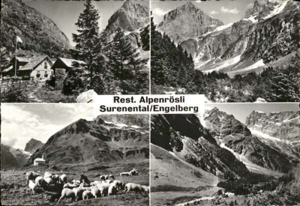 Engelberg OW Restaurant Aplenrösli Surenental Schafe