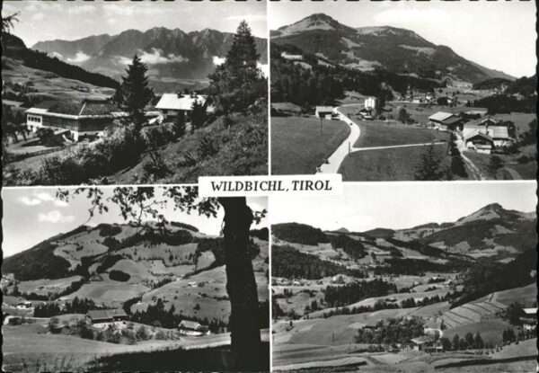 Wildbichl Panorama