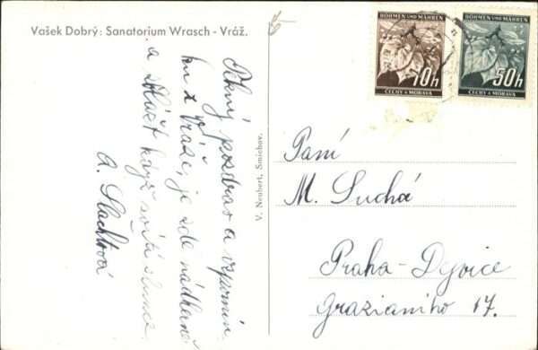 wrasch Vraz Sanatorium – Bild 2