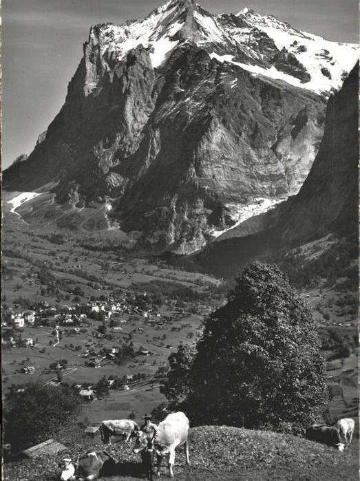 Grindelwald Wetterhorn