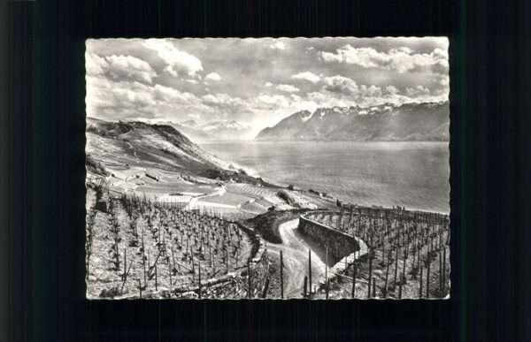 Lavaux VD Lac Leman