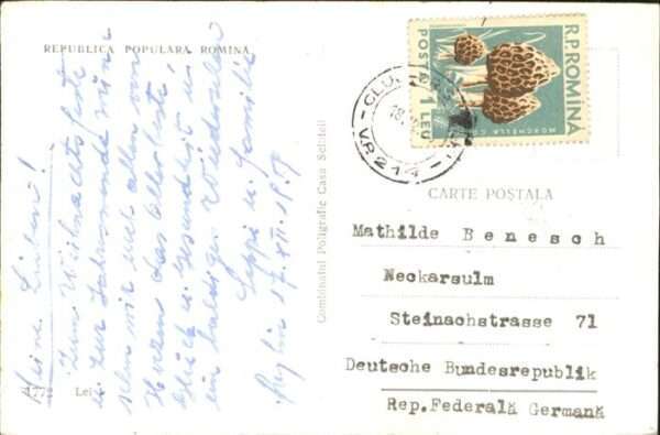 Reghin – Bild 2
