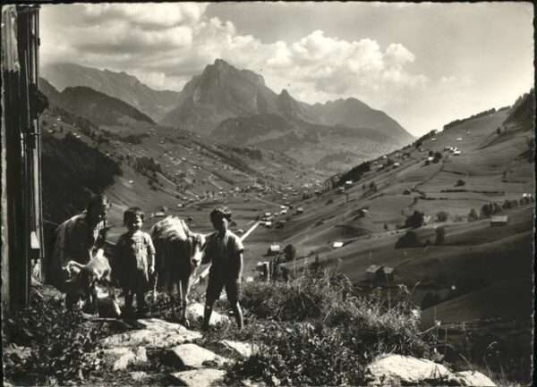 Alt St Johann Schaftberg