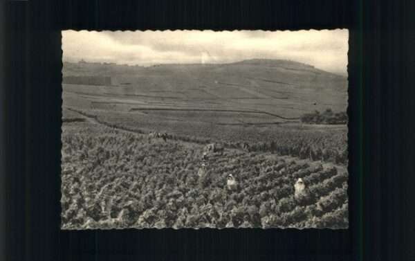 Reims Champagne Ardenne Champagne Pommery & Greno