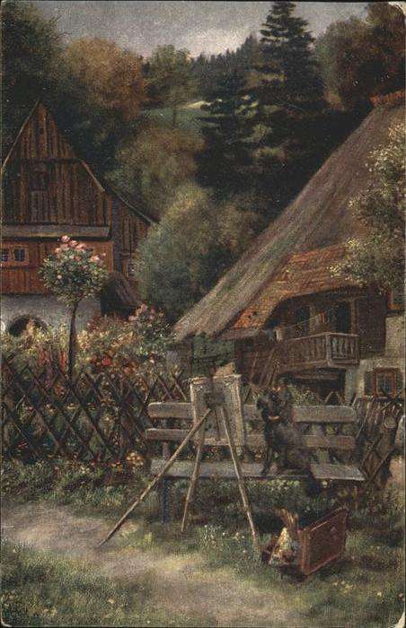 Schwarzwaldhaeuser Hund