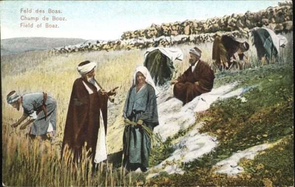 Typen Feld des Boas Landwirtschaft Bethlehem