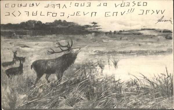 Tiere