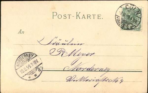 Hunde – Bild 2