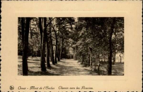 Orroir Mont de l Enclus Chemin vers les Acacia