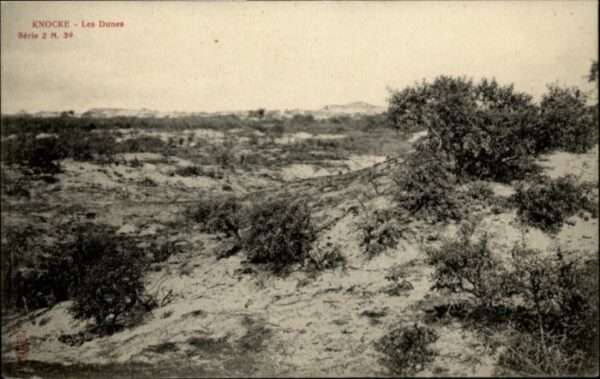 Knocke Dunes