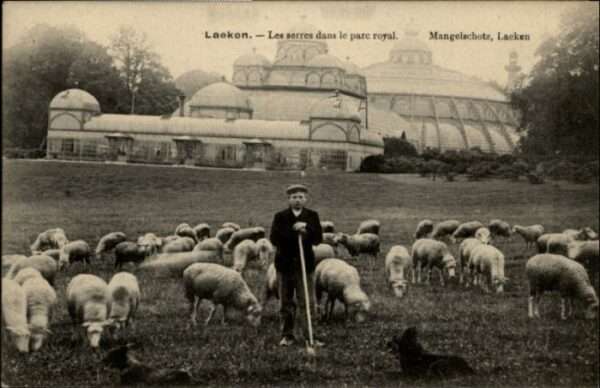 Laeken Parc Royal Mangelschotz