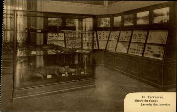Tervueren Musee Congo