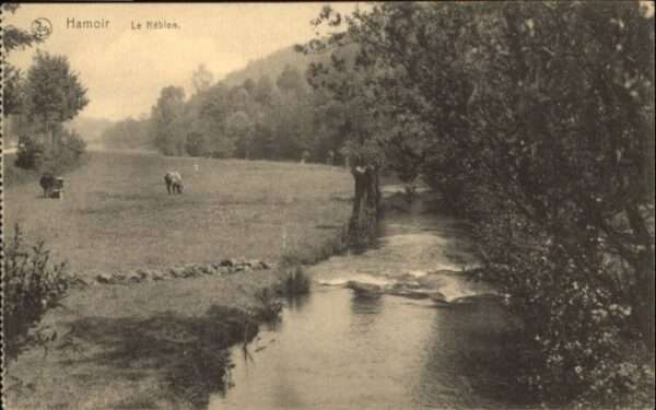 Hamoir Neblon
