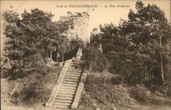Fontainebleau Tour Denecourt